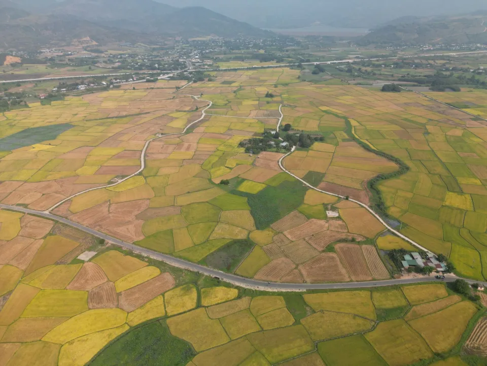 Kho gạo của Phục Hưng